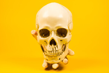 Obraz premium Severed Hand on a Skull Against a Yellow Background: Artistic and Spooky Halloween-Themed Display