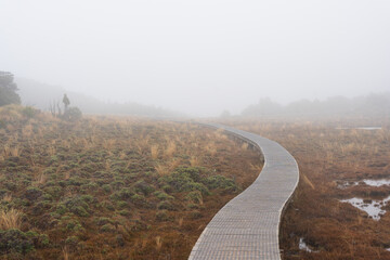 Boardwalk on a misty day along the Waitonga Falls track, Tongariro National Park