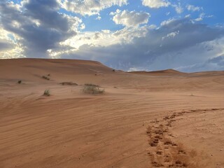 desert Marocco 