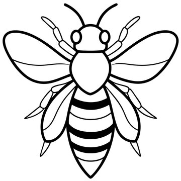 recommend clip art: bee line art vector black color silhouette vector art illustration