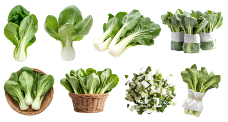 Bok choy, pak choi, pok choi, chinese cabbage, vegetable greens plant leaves, many angles view side top front basket chop bundled isolated on transparent cutout, PNG file. Mockup template for design