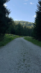 Mountain country rocky road in the mountainous Polish valley. Bielice