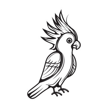 recommend clip art: Hand Drawn Line Art Parrot Illustration - 01
