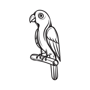 recommend clip art: Hand Drawn Line Art Parrot Illustration - 04