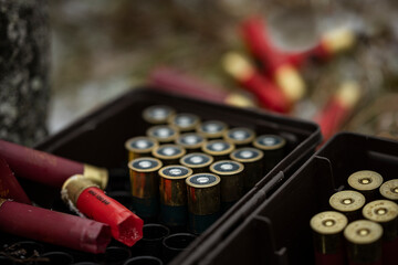 Shotgun bullets kept in box