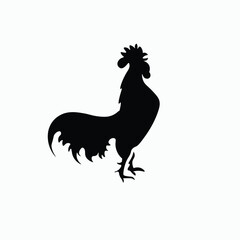Fototapeta premium silhouette of rooster on white background,icon,logo