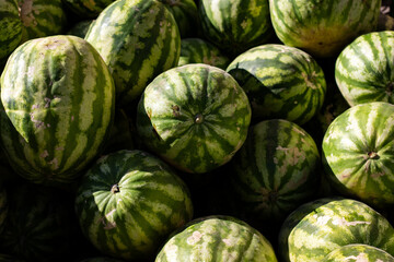 Fototapeta premium watermelons and melons