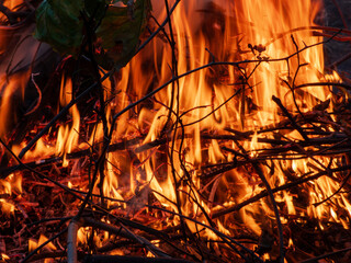 close-up of a roaring bonfire with flames