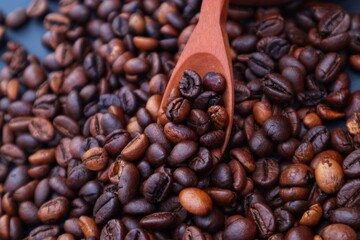 Robusta coffee beans or Coffea canephora in a wooden spoon on a pile of coffee beans, close up view.
