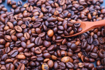Robusta coffee beans or Coffea canephora in a wooden spoon on a pile of coffee beans, close up view.
