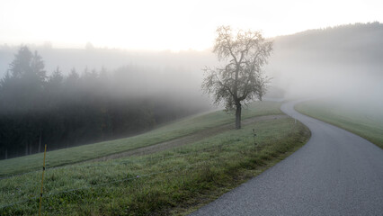 wafts of fog in the mountains of Austria