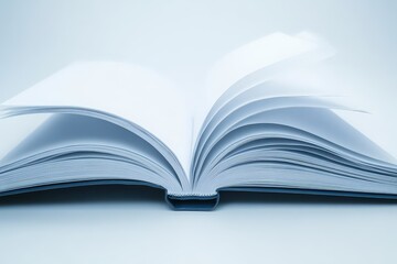 Fototapeta premium Technical Document: Guide for Effective Online Management and Business Instructions