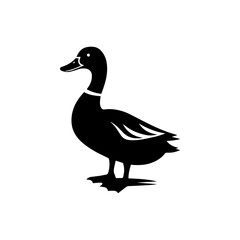 Creative Duck silhouette vector Style with white background