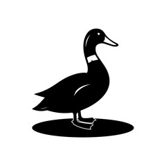 Creative Duck silhouette vector Style with white background
