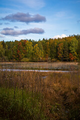 autumn landscape with river and trees