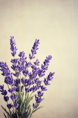 Naklejka premium Soft Pastel Lavender Arrangement on Beige Background