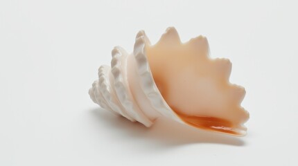 A glossy spiraled seashell with soft pearlescent hues, placed delicately on a white background.