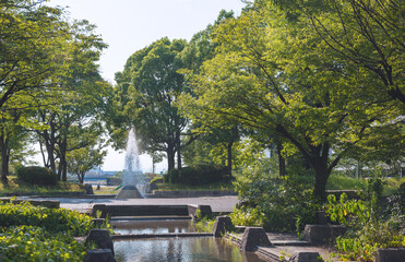 Obraz premium 名古屋市の港北公園の風景