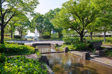 名古屋市の港北公園の風景