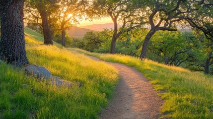 Naklejka premium A serene pathway winding through a lush, green landscape at sunset.