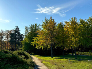 Autumn park idyllic scenic nature.