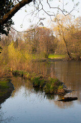 Obraz premium Teich in Hannover