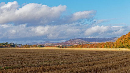 Recently harvested Barley fields under an Autumn Sun with the Hills and mountains of the Angus...