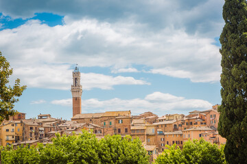 Obraz premium Siena, Italy Cityscape with Tower