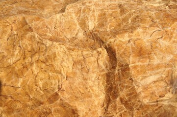 Natural animal skin, without paint, natural color, embossed skin texture after treatment and degreasing of the skin
