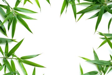 Bamboo Frame. Blank Asian Bamboo Frame Isolated on White Background