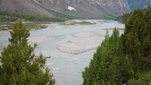 4K Closeup shot of river Bhaga flowing in the riverbed besides the mountain as seen from Jispa village in Lahaul and Spiti district, Himachal Pradesh, India. River flowing in the mountains background.
