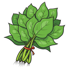 Spinach vegetable cartoon