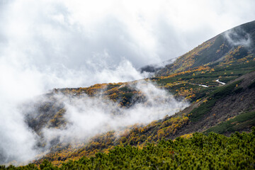 紅葉する山から雲が湧く風景　乗鞍岳