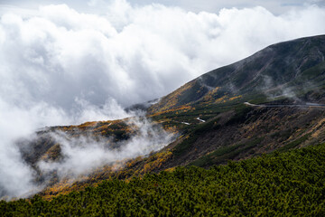 紅葉する山から雲が湧く風景　乗鞍岳