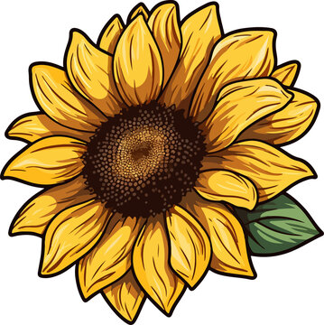 yellow sunflower close-up view clip art preview
