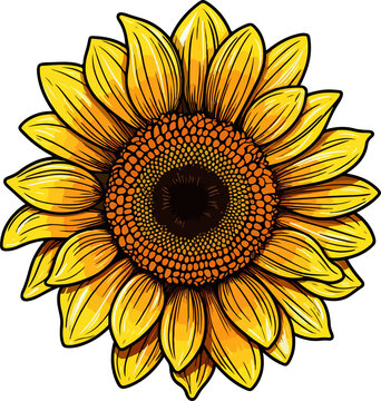 Sunflower clip art preview
