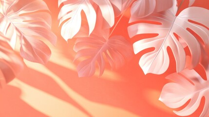 Soft pink background with white monstera leaves casting gentle shadows.