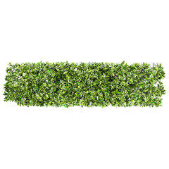 Obraz premium 3d illustration of Grecian bay trees isolated on transparent canvas from top view