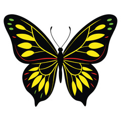 Butterfly Vector Illustration Art for Nature