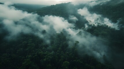 Obraz premium Aerial view of smoke rising from a burning rainforest, with dense trees in the background