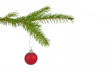 evergreen fir twig with hanging christmas ball isolated on white or transparent png