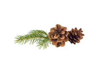 christmas pine cone and fir tree twig decoration isolated on white or transparent png
