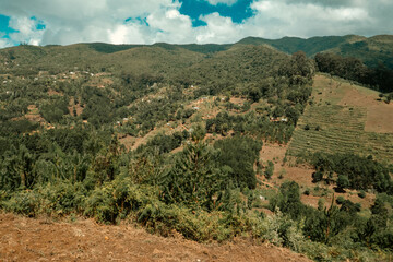 Obraz premium Scenic view of mountain landscapes at Kigulu Hakwewa trail at Magamba Nature Forest Reserves in Usambara Mountains Range, Tanzania 
