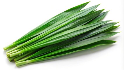 Green fresh pandan leaves isolated on white background