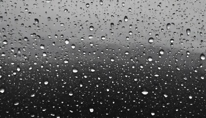 Fototapeta premium Rain Drops on Glass