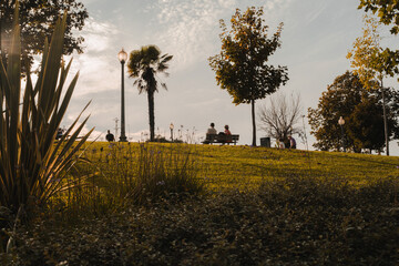 Obraz premium Peaceful park