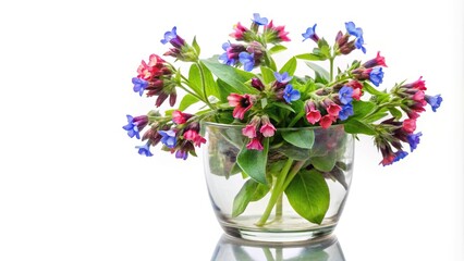 Ground glass vase full of pulmonaria flowers on white background