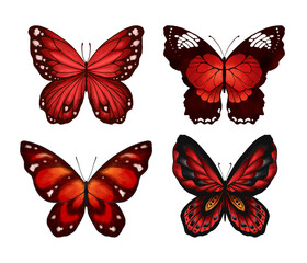 Butterfly Collection Illustration Set. Beautiful Watercolor Tropical Moths Isolated on White Background. Flying Cute Insects with Colorful Wings