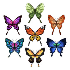 Butterfly with Tail Collection Illustration Set. Beautiful Watercolor Tropical Moths Isolated on White Background. Flying Cute Insects with Colorful Wings