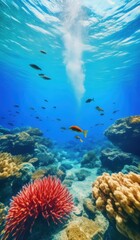underwater with coral and fish
